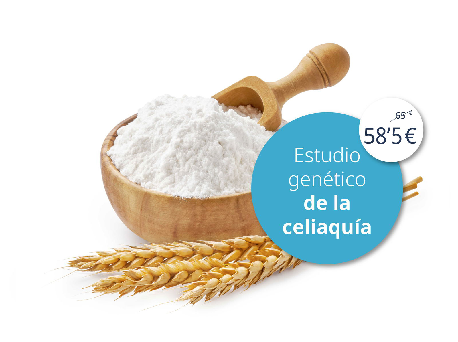 Visit our website